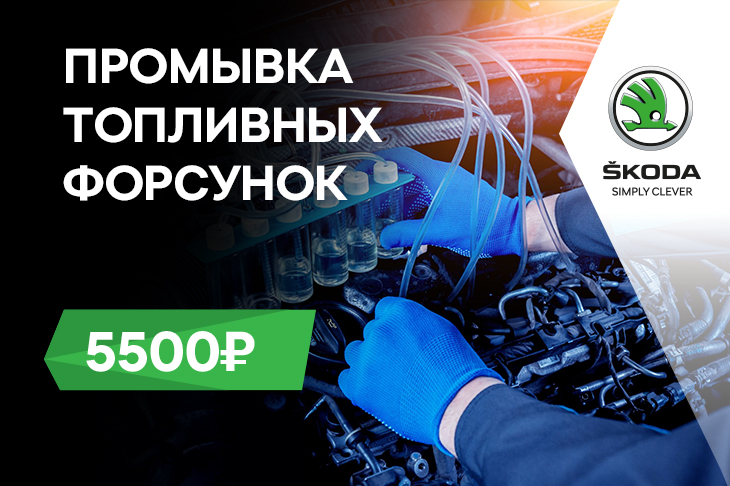 Промывка топливных форсунок за 5 500₽ в январе