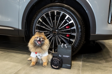 Дилерские центры РОЛЬФ EXEED присоединились к программе «Pet friendly»